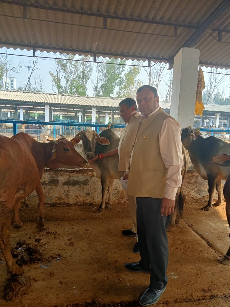 Gaushala Visit - Year 2024-2025