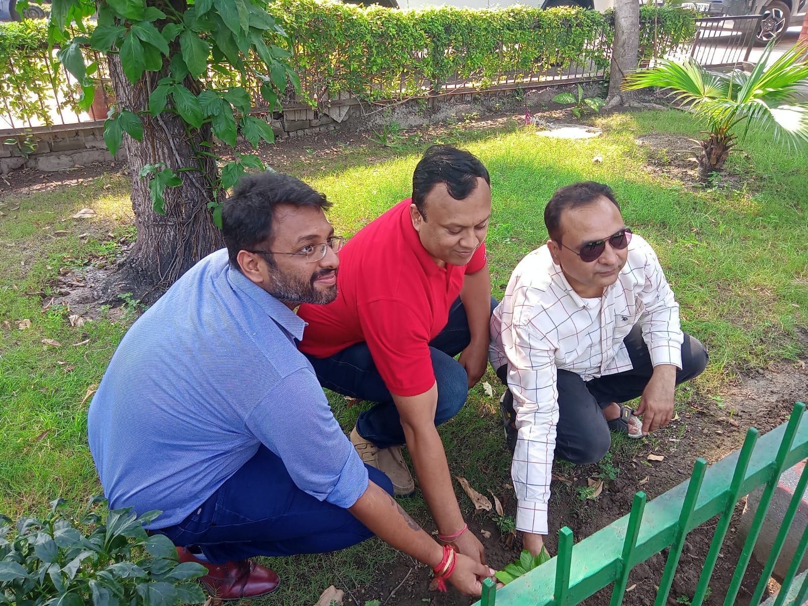 Tree Plantation - Year 2024-2025