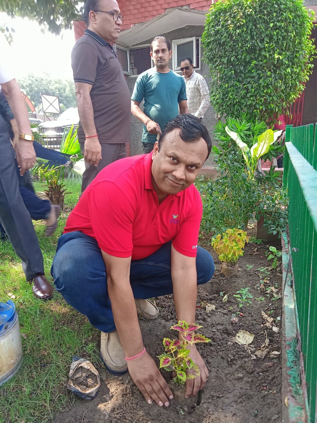 Tree Plantation - Year 2024-2025