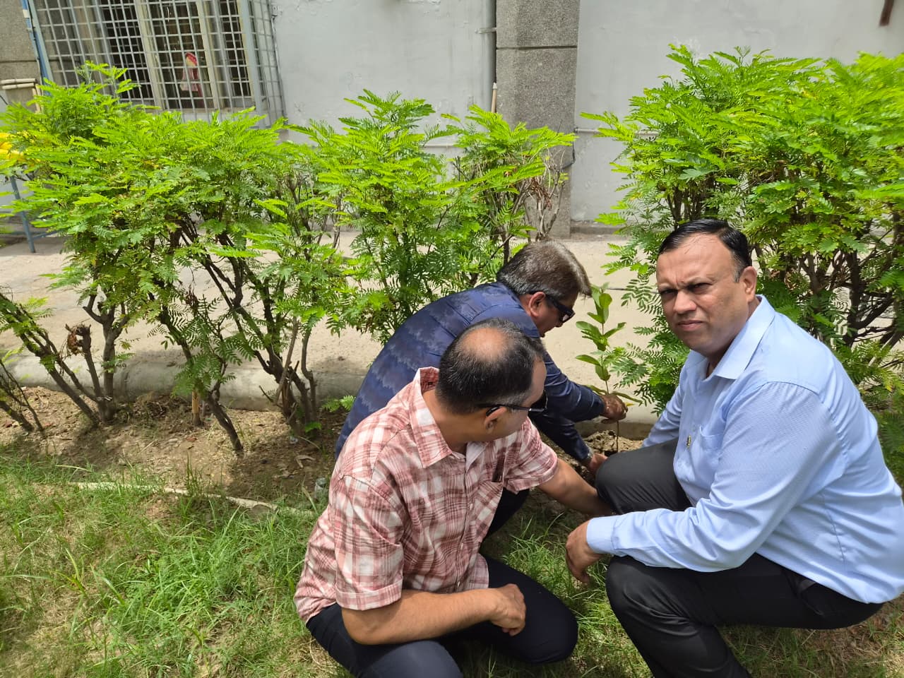 Tree Plantation - 2026-27